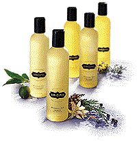 Massage Oils
