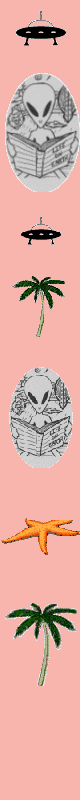 border1.gif (5937 bytes)