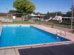pool.jpg (130942 bytes)